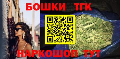 стаф Дубна
