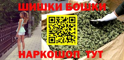 стаф Дубна