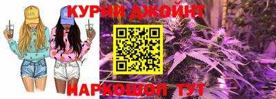 стаф Дубна