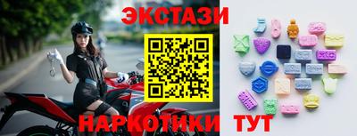 стаф Дубна