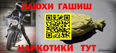стаф Дубна