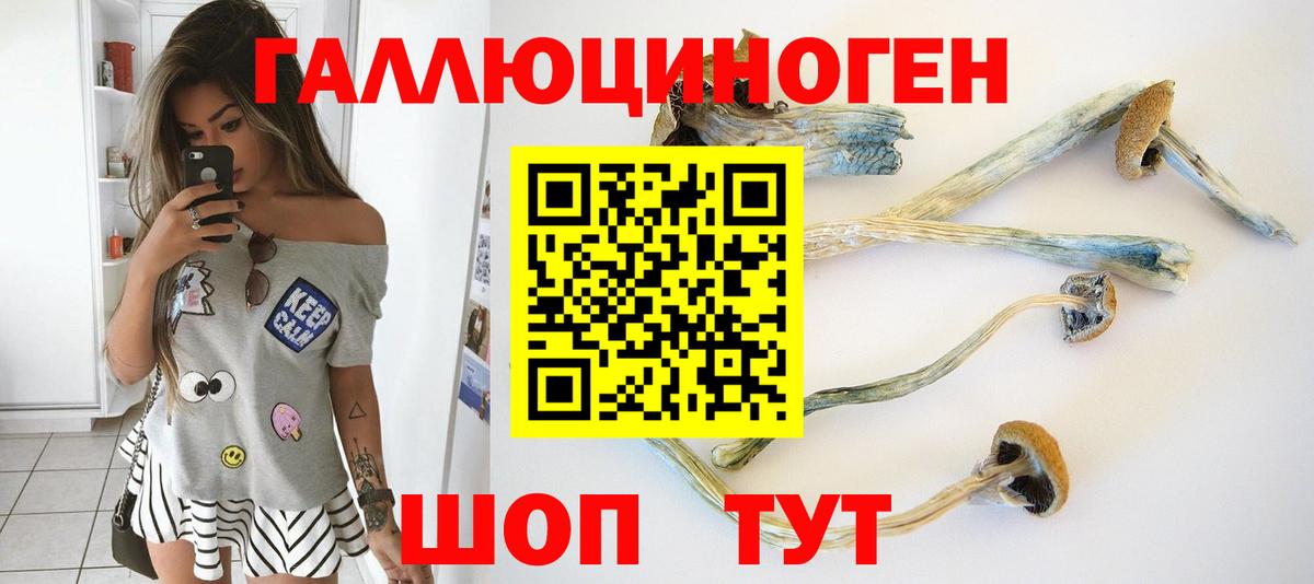 Псилоцибиновые грибы Cubensis  Вход с VPN  Рубцовск  Псилоцибиновые грибы MAGIC MUSHROOMS 